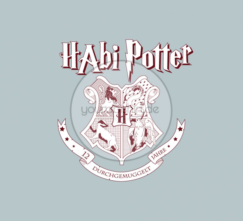 Habi Potter